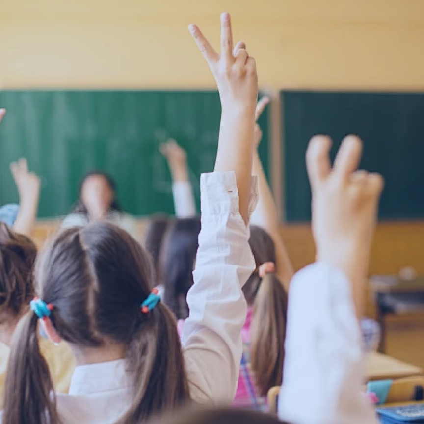 Government Platform Image